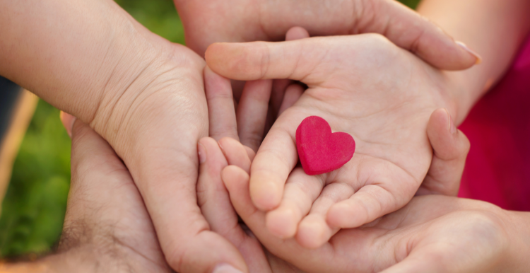 A group of adult and children's hands