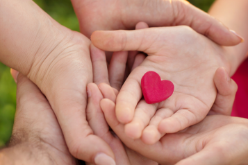 A group of adult and children's hands