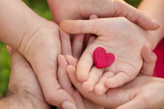 A group of adult and children's hands